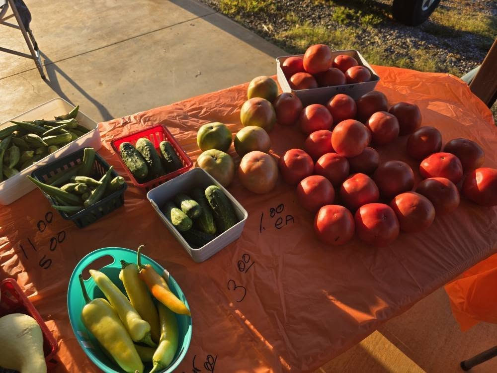 Farmer's Market